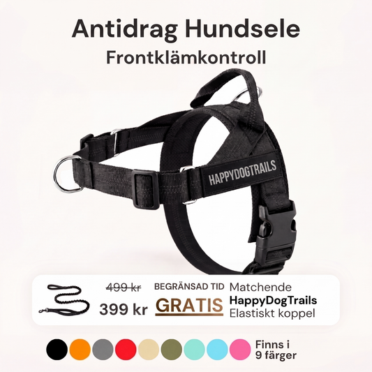 Antidrag Hundsele