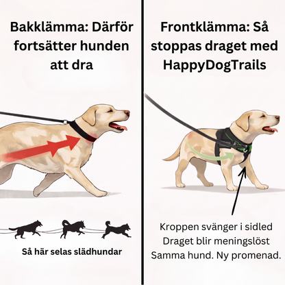 Antidrag Hundsele