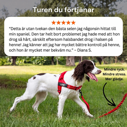 Antidrag Hundsele